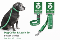 Boston Celtics Dog Collar & Leash Set | Green Shamrock Pet Accessories